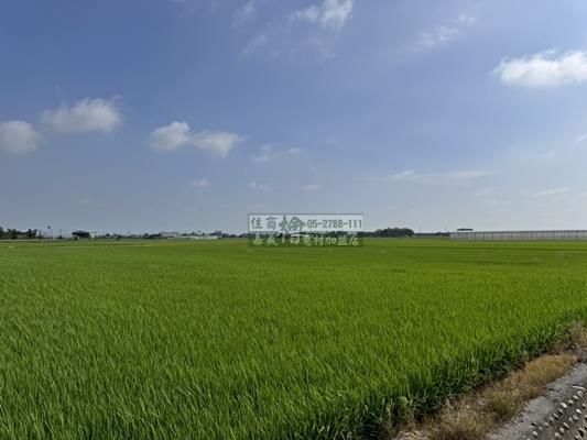 嘉義農地-2