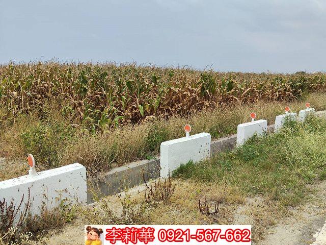台南佳里農地-7