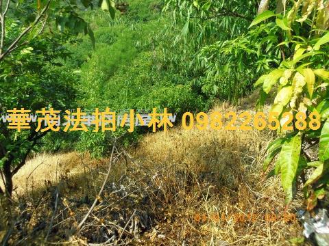 台南左鎮農地-11