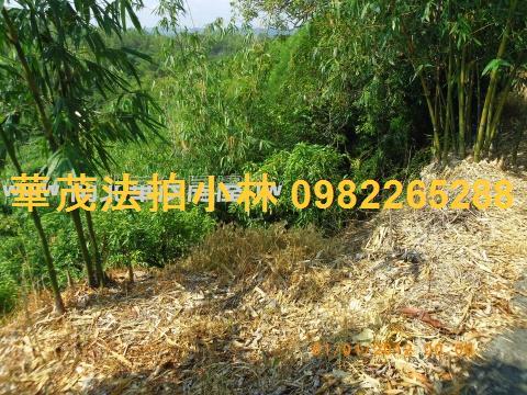台南左鎮農地-12