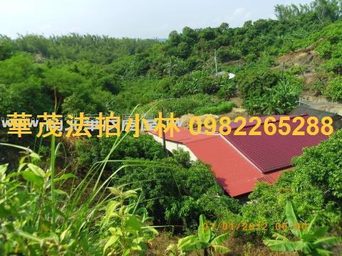 台南左鎮農地-8