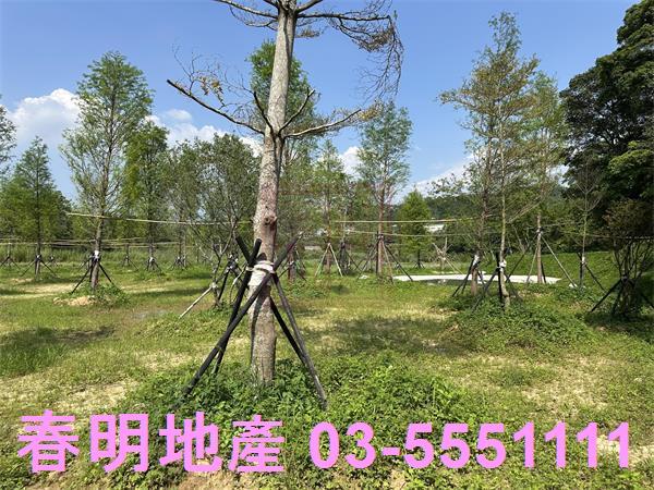 關西農地-2