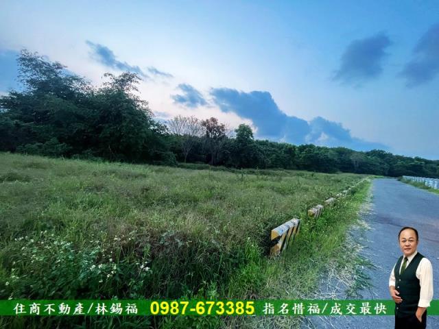 歸仁農地-3