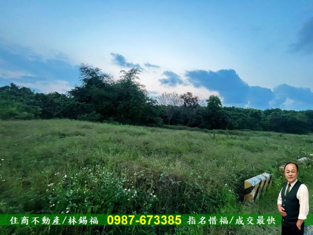 歸仁農地-5