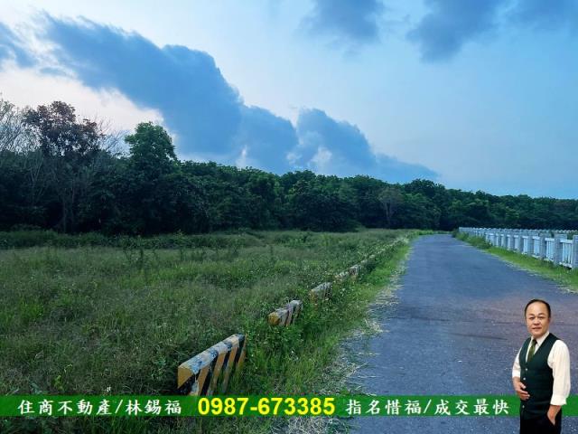 歸仁農地-7