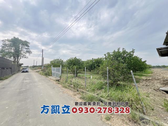 麻豆農地-5