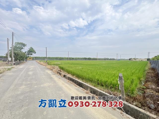 麻豆農地-6