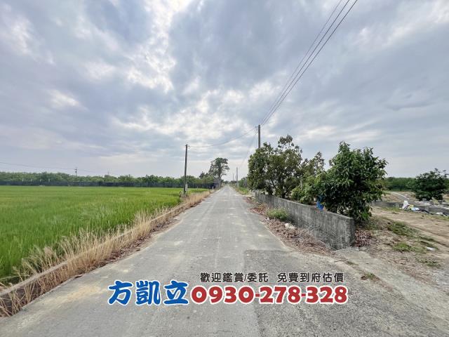 麻豆農地-7