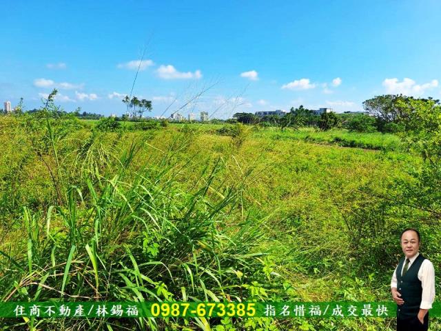 新市農地-7