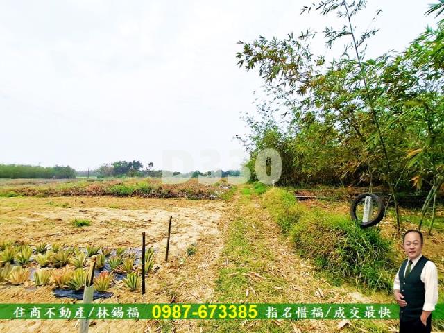 歸仁農地-2