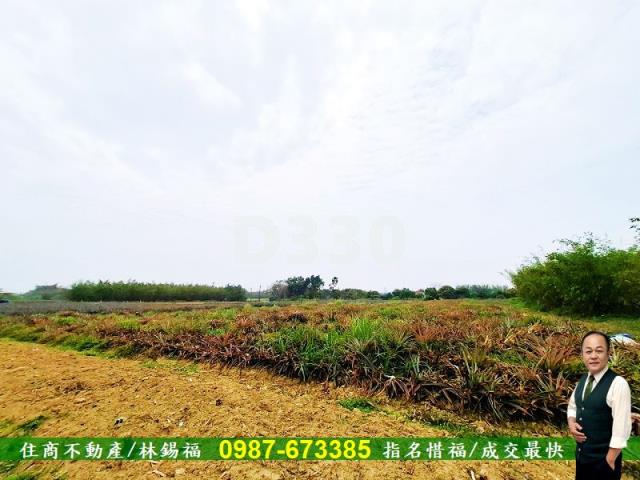 歸仁農地-5