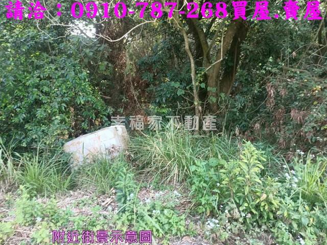 左鎮農地-8