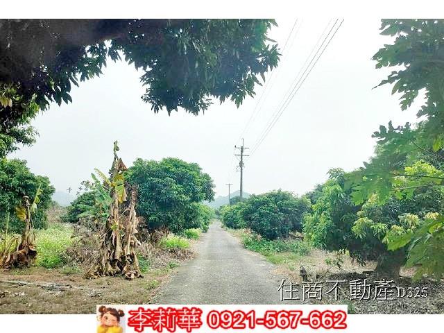 台南農地-5