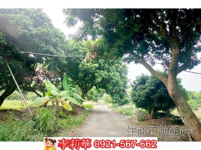台南農地-6