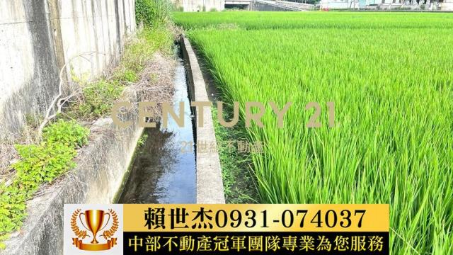 台中農地-5
