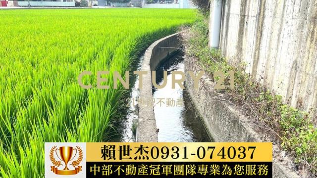 台中農地-6