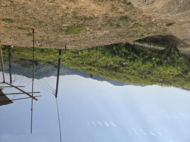 東勢農地-2