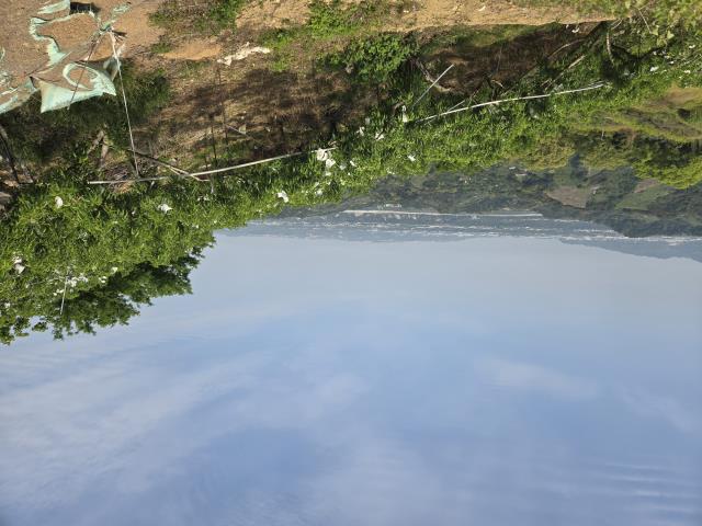 東勢農地-3