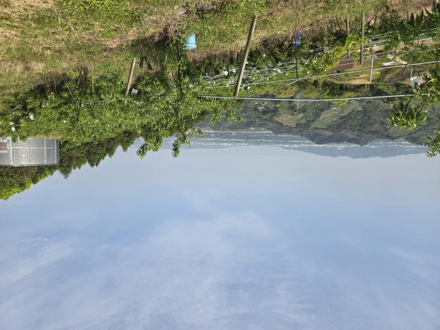 東勢農地-4