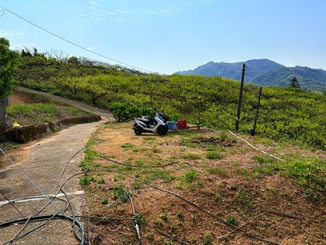 東勢農地-6