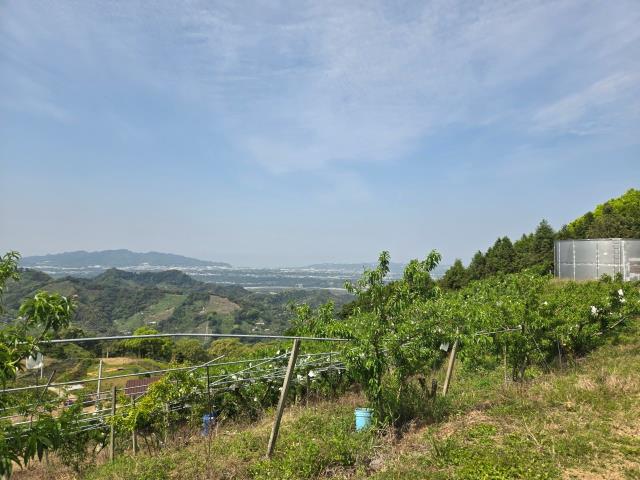 東勢農地-1