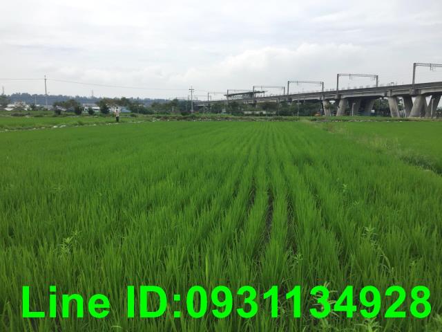后里農地-1