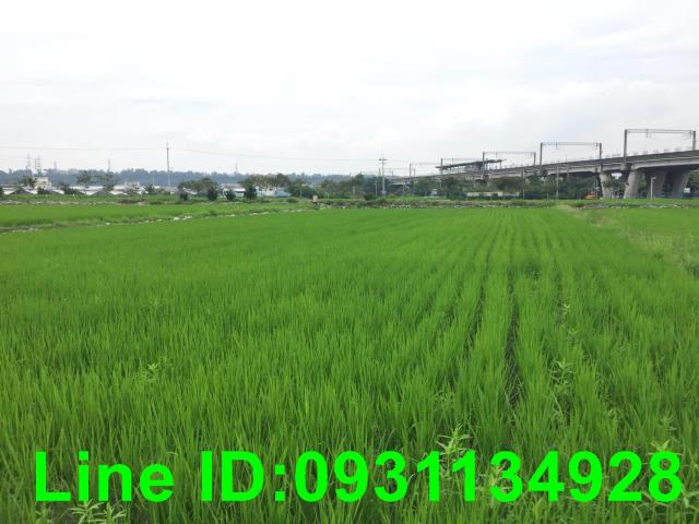 后里農地-1