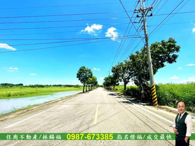 新營農地法拍-1