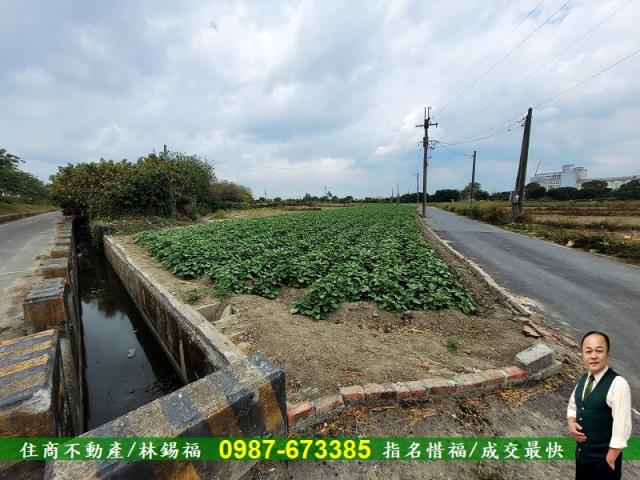 仁德農地-12