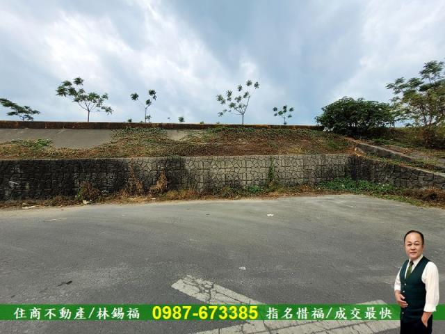 仁德農地-7