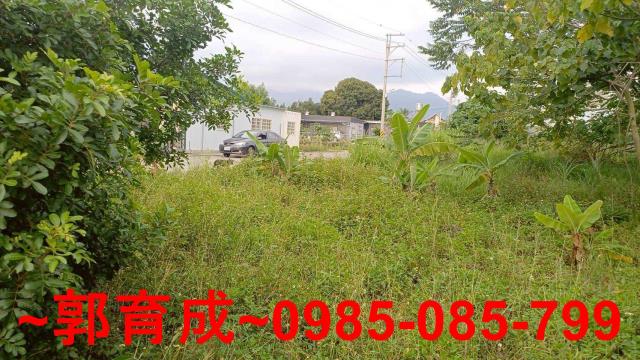 中埔農地-4