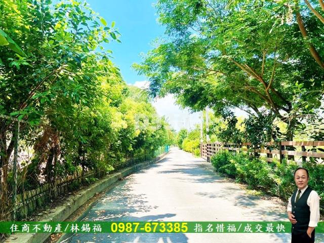 台南農地-11