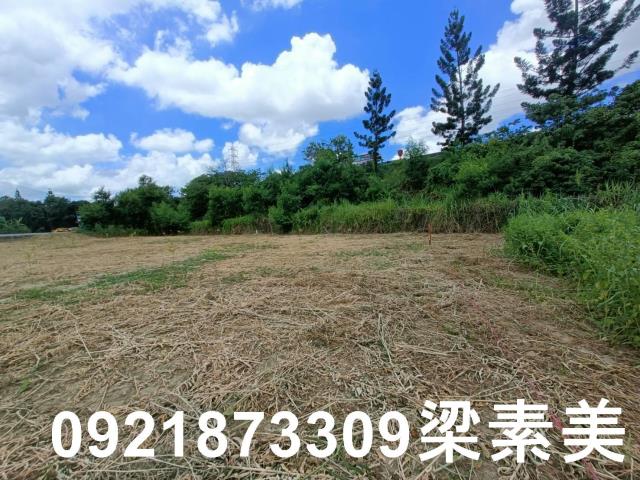 新化農地-10