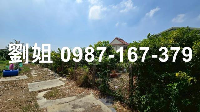 高雄大寮農地-2