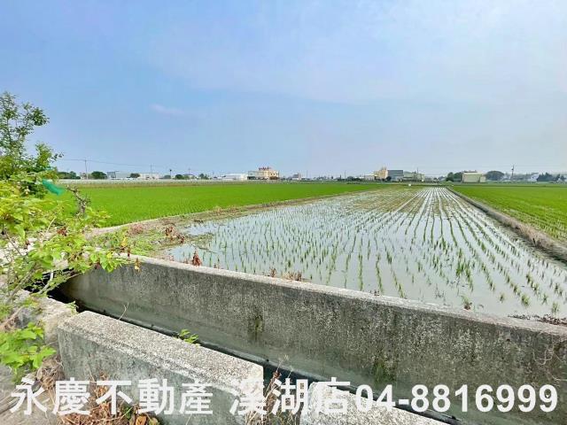 彰化埔鹽農地-13