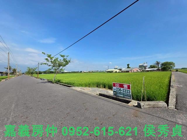 六甲農地-5