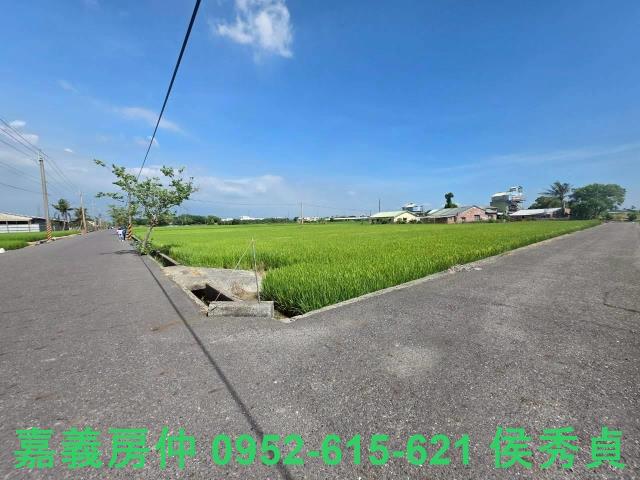 六甲農地-6