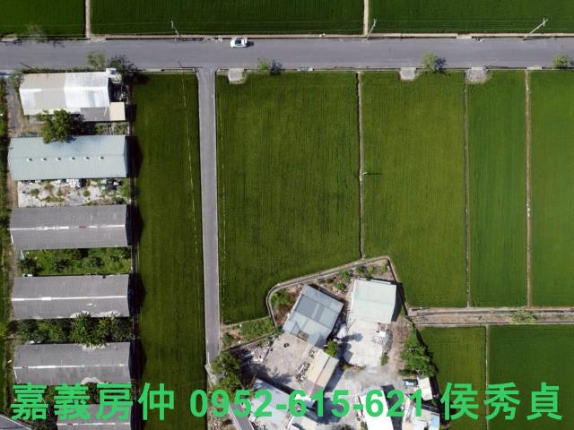 六甲農地-2