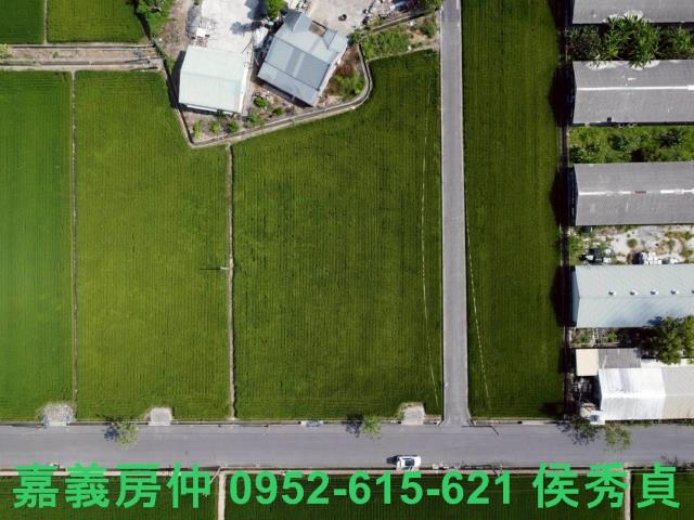 六甲農地-1