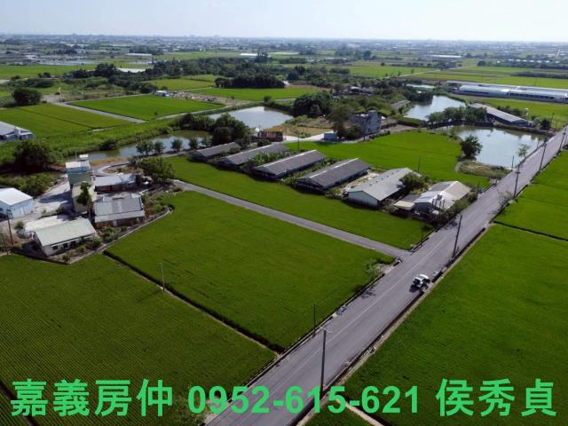 六甲農地-8