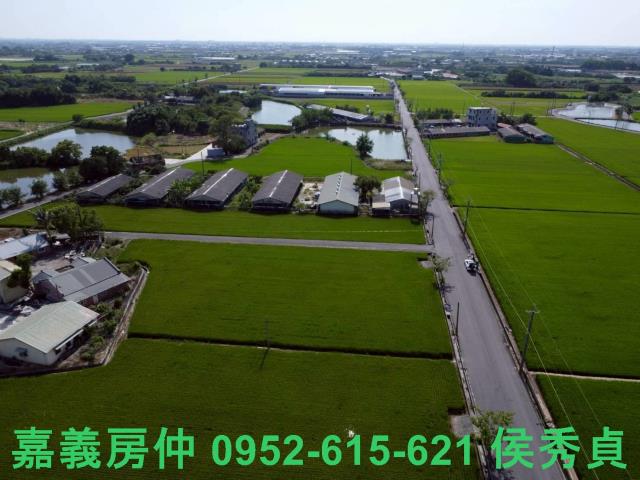 六甲農地-9