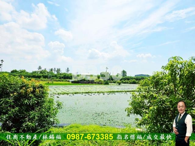 台南農地-7