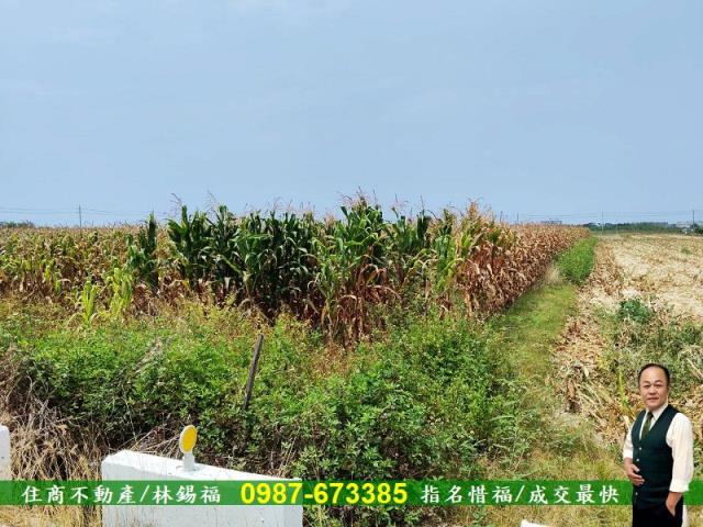 台南農地-4