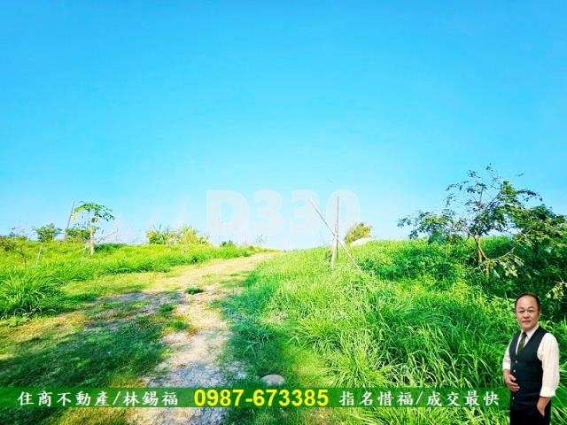 台南大內農地-12