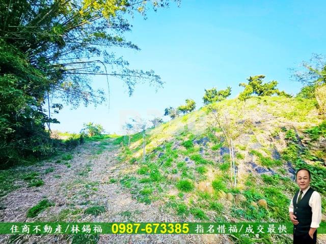 台南大內農地-13