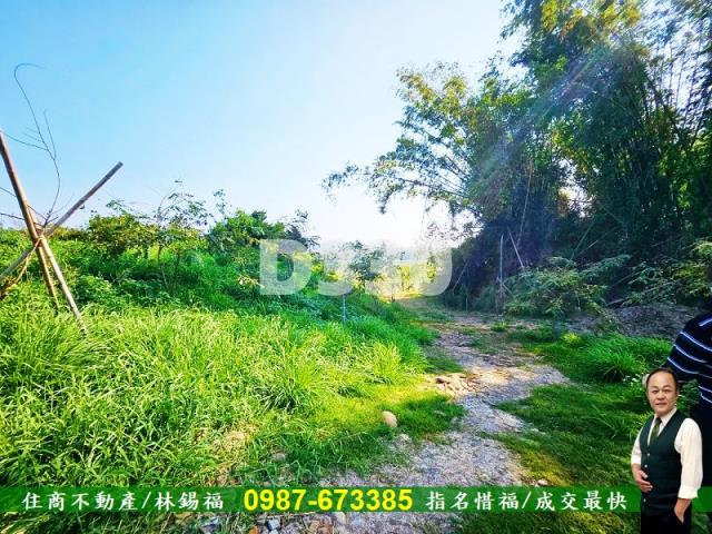 台南大內農地-14
