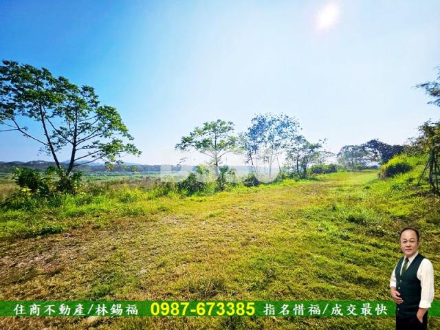 台南大內農地-5