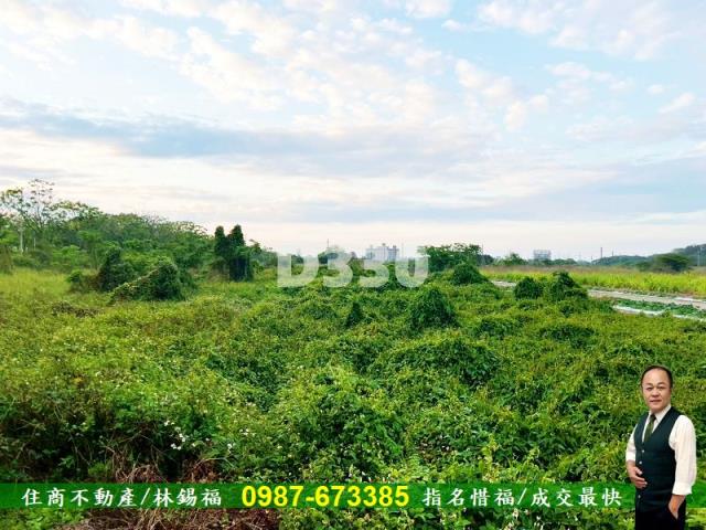 台南安定農地-6