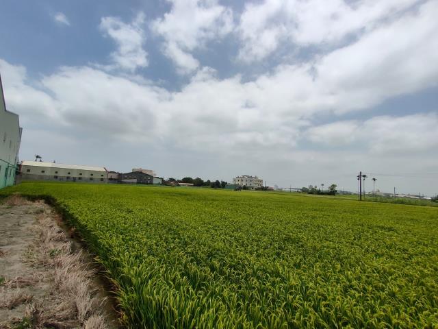 彰化溪湖農地-10
