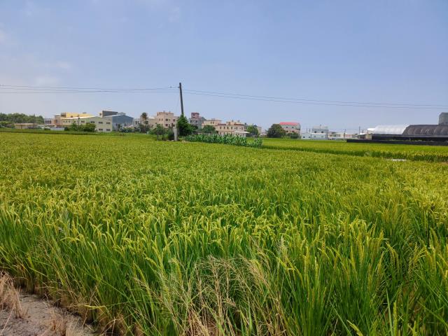 彰化溪湖農地-14